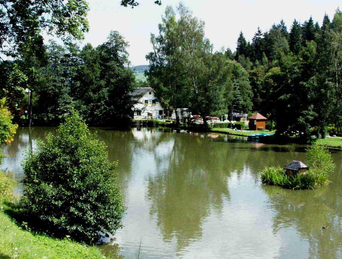 Hotel Gasthof Zum Walfisch Klingenthal Exteriér fotografie