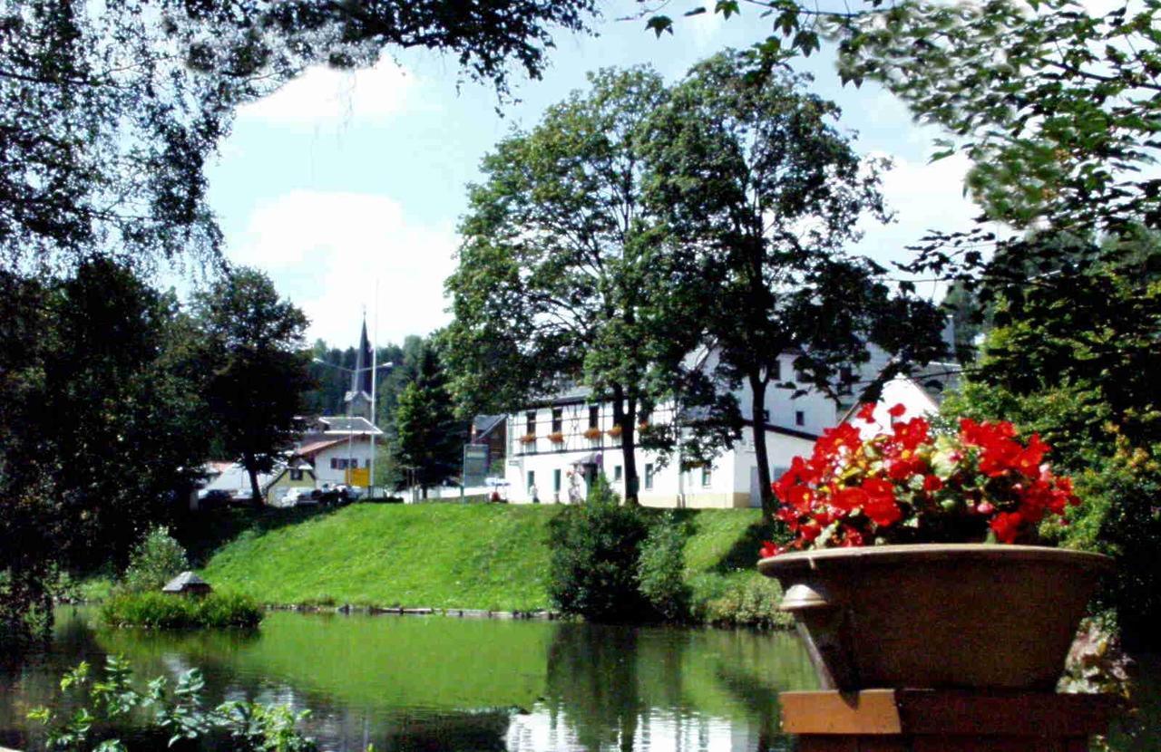 Hotel Gasthof Zum Walfisch Klingenthal Exteriér fotografie