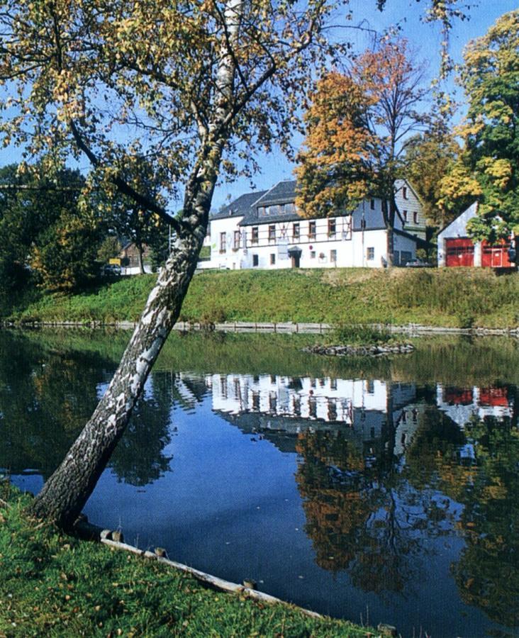 Hotel Gasthof Zum Walfisch Klingenthal Exteriér fotografie
