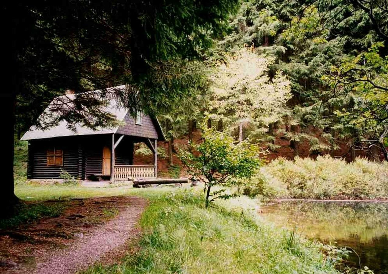 Hotel Gasthof Zum Walfisch Klingenthal Exteriér fotografie